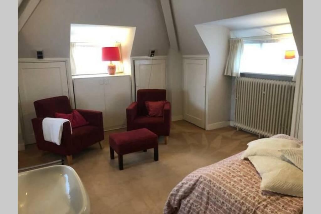 Vrijstaande Rietgedekte Villa Nabij Uitvalswegen Wassenaar Kültér fotó