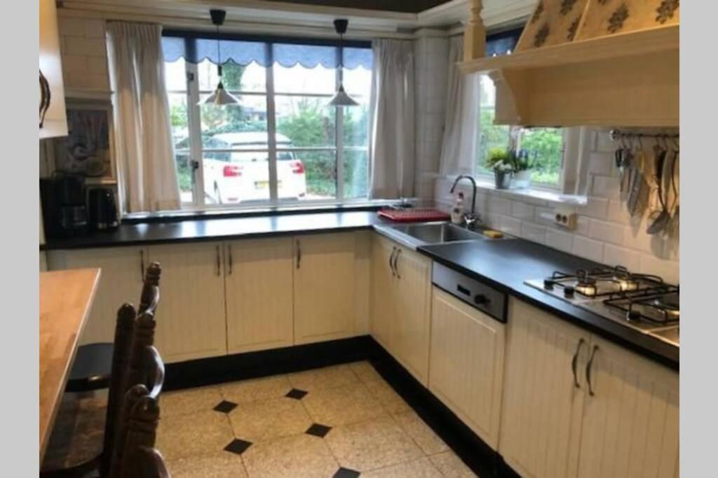 Vrijstaande Rietgedekte Villa Nabij Uitvalswegen Wassenaar Kültér fotó