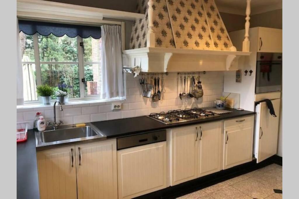 Vrijstaande Rietgedekte Villa Nabij Uitvalswegen Wassenaar Kültér fotó