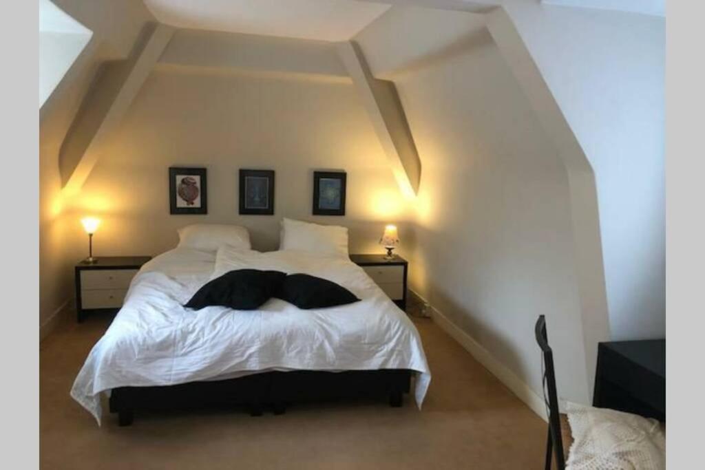Vrijstaande Rietgedekte Villa Nabij Uitvalswegen Wassenaar Kültér fotó